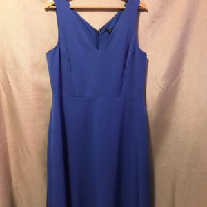 NWT Ann Taylor Royal Blue Dress